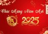 CHÚC MỪNG NĂM MỚI 2025- Xuân Ất Tỵ