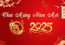 CHÚC MỪNG NĂM MỚI 2025- Xuân Ất Tỵ